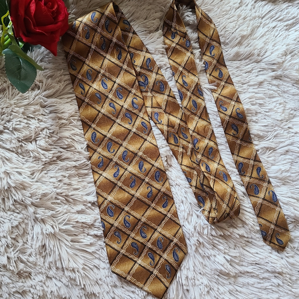 ⭐️Zianetti Italian Silk Collection Tie